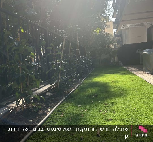 דשא ירוק עם צינור השקיה וצמחים לאורך גדר
